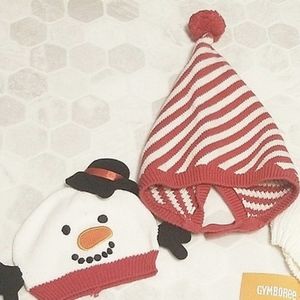 Set of 2 holiday hats!